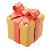 Flight simulator gift certificate